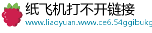 纸飞机打不开链接